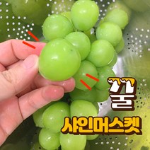 프리미엄 고당도 샤인머스켓 포도 2kg(3-4수) 샤인머스켓선물세트 망고포도 추석샤인머스켓선물 세트, 실속형 샤인머스켓2kg(3-4수), 1개
