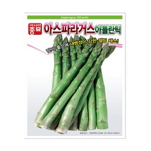 아시아종묘 아스파라거스 아틀란틱 씨앗 천문동 아틀란틱씨종자 채소씨앗 아스파라거스씨앗종자, 800개