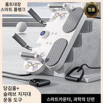 스타일닥터 홈트대장 스마트 플랭크 보드 홈트레이닝 기구 다용도 3in1 헬스복신기 빠른 배송, 블랙