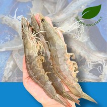 정아네식탁 가을제철 신안 흰다리 활새우 2kg 56-70미, 단품