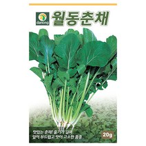 치마아욱 25g 치마아욱씨앗 치마아욱씨 아욱씨 채소씨 채소씨앗 야채씨앗 야채씨, 19_다농_월동 춘채(20g)