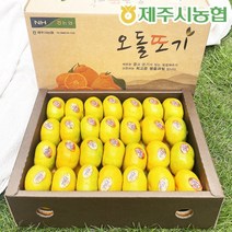 [추석선물세트]제주시농협 하우스감귤3kg로얄과 선물박스+외박스, 단품