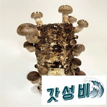 [해담은농장] 버섯키우기 참나무 톱밥, 표고배지(개별박스포장)