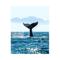 울트라패션 명화그리기 DIY 유화그리기 그림그리기 세트 취미 생일선물, C_고래시리즈_05고래꼬리