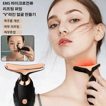 1+1피부 미용기기마사지 미용 기계 갈바닉얼굴마사지기 레이저미용기, 미경의*2