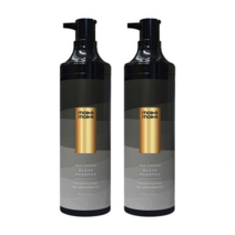 프로체인지 블랙샴푸, 2개, 300g