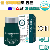 아티초크 추출분말 ARTICHOKE 프랑스산 유기농 물용매추출 귀족채소 진공농축 저온살균 스프레이건조 남녀노소 누구나 먹기편한 여성 여자 학생 대학생 여대생 부모님 꽃봉우리, 11박스, 60정