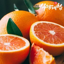 식탐대첩 카라카라 오렌지 중과10개 약2kg, 1개