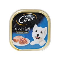 시저 반려견 주식캔, 소+참치, 100g, 15개