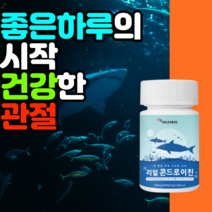 연골 건강 연골 관절 허리 발목 손목 영양제 뼈시림 상어연골 로얄 50대 60대 에너데이 콘드로이친 60정 콘드레이친 콘드레이친 콘드라이친 콘드로이친ZS 콩드라이친 콘트로친