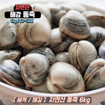 자연산 해감 동죽 동죽조개 물총조개 조개탕, 6kg