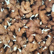 완주 봉동 생강 (토종 씨생강), 5kg