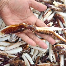 꽃게다리 연평도 냉동꽃게발 육수용 1kg 5kg 10kg, [1kg]