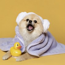 3L 물흡수 강아지 고양이 펫타올 목욕 수건 드라이 타월 라일락연보라색 M L 소중대형견 사이즈, 펫타올L(110x70)