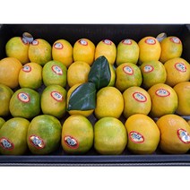 (과일천국1번지) 새콤달콤 고당도 하우스 감귤 3kg - 1박스 (선물용), 1개, 0