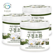 푸른들판 국산 구절초환 190gx3통 선모초 애엽 쑥 함유, 3개