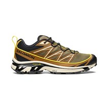 살로몬 XT-6 EXPANSE Cathay Spice/Lizard/Buttercup