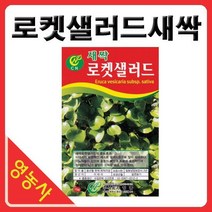 새싹로켓셀러드씨앗- 새싹무순 로켓셀러드씨 새싹씨앗 싹채소키우기 어린채소씨앗 학습용 사계절용 재배, 베이비비타민다채