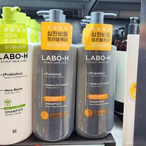 라보에이치 댄드러프 샴푸 400ml 지성트러블 x 1개, 단품, 단품