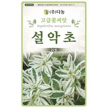 브랜드없음 설악초씨앗 500립[CA], 단품없음