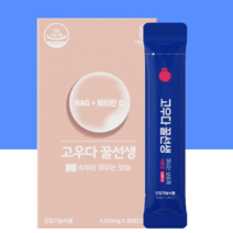 힐링스쿨 먹는 콜라겐 석류 히알루론산 NAG 비타민 C 피부 승무원 영양제 마시는 보습 고우다꿀선생 4000mg X 30포 1개, 120g