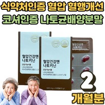 혈압 혈행개선 건강엔 낫토키닌 나토 키나제 중년 장년 남성 여성 부모님 어르신 나또 낫토 낫또 키나아제 피브린 용해 효소 HK 나토배양물 분말 2박스