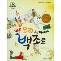 미운 오리 새끼에서 백조로: 안데르센, 한국슈타이너