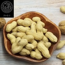 [견과동산] 2022년 수입 볶음 피땅콩 껍질 땅콩 대보름 부럼 200g (햇 것 나왔어요)