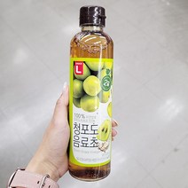 청포도 음료초 500ML x 2개, 단품