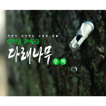 괘일산 다래 나무 고로쇠 가래나무 수액, 다래나무 수액 6병, 6개