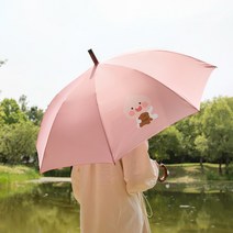 카카오프렌즈 에이프릴샤워 장우산 / 예쁜 귀여운 캐릭터 튼튼한 우산
