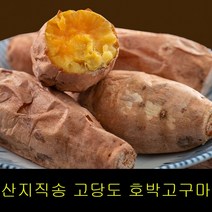 고씨네 특급 고구마2KG 호박고구마 밤고구 강화호박고구마 해남호박고구마 강화도호박고구마 당진고구마, 특급 호박고구마 2kg