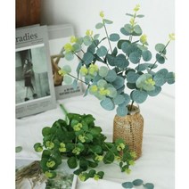 유칼립투스 조화, 연그린1P