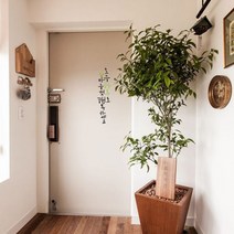 뮤즈 오늘 하루도 마음껏 행복하세요 손글씨 캘리그라피 레터링 인테리어 스티커 시트지, 검정+연두
