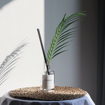 푸르내음 디퓨저 200ml 대용량 실내방향제, 선택안함, 베이비파우더