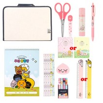 카카오프렌즈 종합 문구세트 선물세트 라이언 어피치