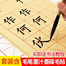 붓글씨 초보자 입문묘 주홍글씨 서예 연습-133746, 옵션08, 초등학생이 글씨첩을 모사하다.