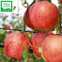 아삭아삭 껍질째 먹을 수 있는 거창사과(홍로 5kg 대) 19~20과
