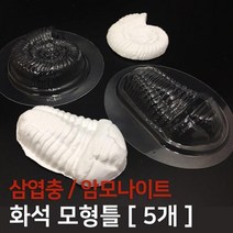 화석 삼엽충 암모나이트 만들기 모형틀 과학 원리 돌봄 이해 탐구 학습 수업, 암모나이트 5개