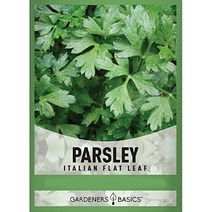 이탈리안 파슬리씨앗 허브 이태리 파슬리 씨 종자, 타이바질