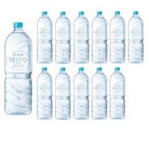 백산수 무라벨, 2L, 20개