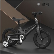 디와이(DY) Phoenix 피닉스 아동 어린이 자전거 12 14 16인치 레드 무지개 블랙 핑크, 블랙+16인치
