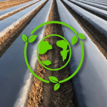 멀칭 비닐 친환경 생분해 주말농장 텃밭 배추 이지 멀칭 필름 농업용 비닐 500mm, 90x500