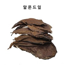 일산수족관 알몬드잎 10장 어항수질안정 ph저하 산란 블랙워터 벌크상품 체리새우 열대어
