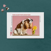 150피스 반려동물 사진 직소퍼즐 제작 (액자포함) _ 80998EA, 피오리레 본상품선택, 피오리레 14. 수지그린, 피오리레 본상품선택