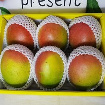 망고 추석 과일 명절 선물 세트