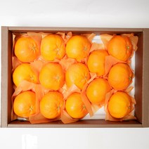 룰루네상점 제주 레드향 5kg 프리미엄과 (22과 내외) 선물포장 고당도 서귀포 감귤, 레드향 5kg 프리미엄과(22과 내외) 선물포장