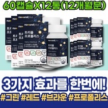 여자 30대 항균제 증강 항염 프로폴리스 20대 포우먼 구강건조증 높이는 직원추석선물 고함량 사무직 재생 남성 헐었을때 추천 구강염증 프로폴리스영양제 유아 항산화 레드 플라보노이드