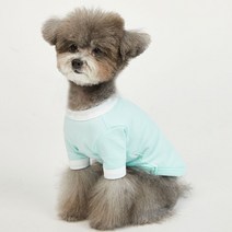 럭키페터 컬러링거 강아지 옷 소형견 대형견 티셔츠, 민트/화이트