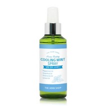 아로마 힐링 쿨링 민트 스프레이 150ml /멘톨쿨링미스트/미스트/아로마쿨링미스트/민트스프레이/쿨링미스트